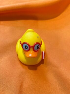 Book Carrying Rubber Duck